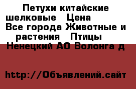 Петухи китайские шелковые › Цена ­ 1 000 - Все города Животные и растения » Птицы   . Ненецкий АО,Волонга д.